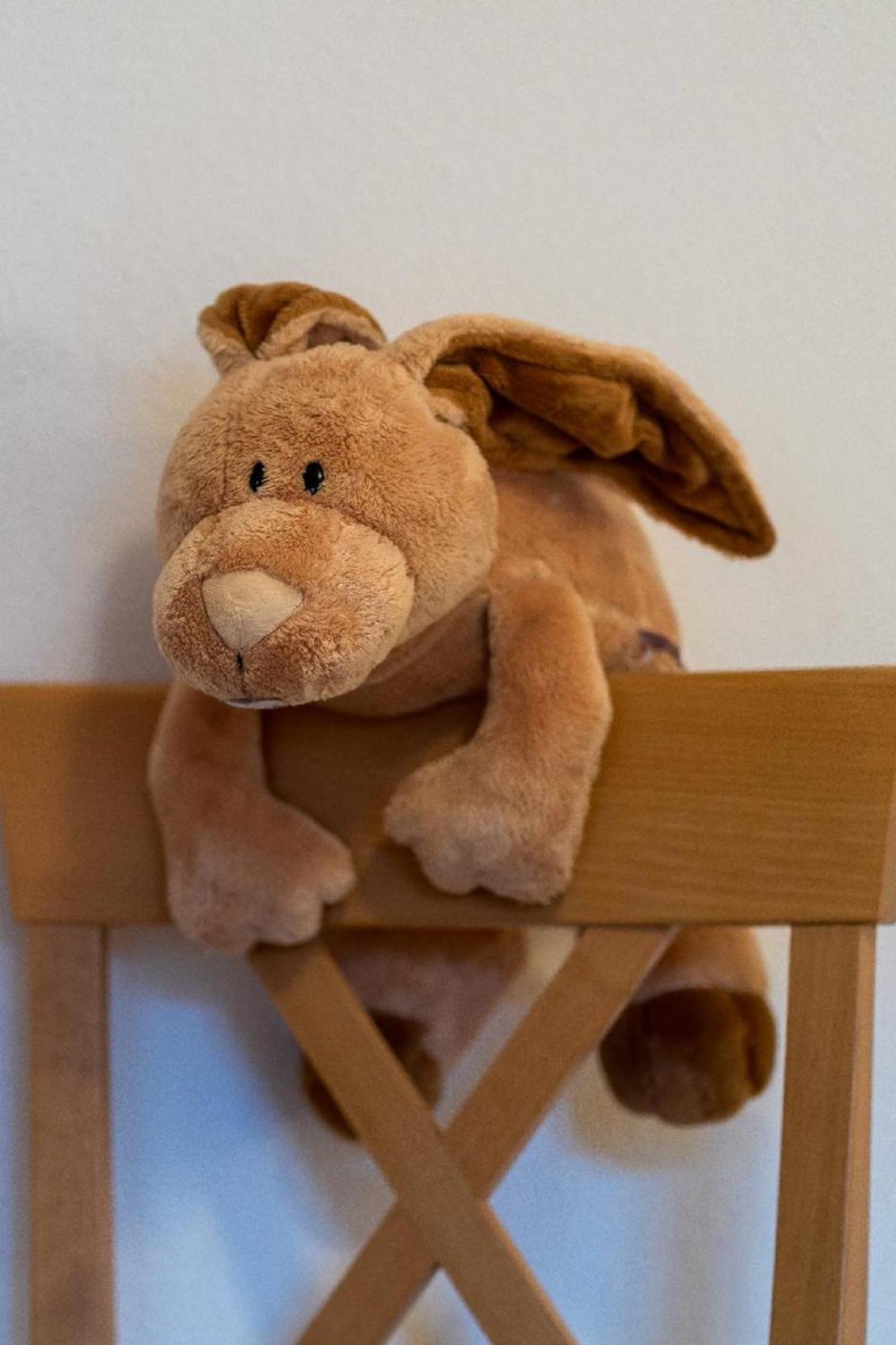 Apartament Bauernhof Suesshof Zwiesel Zewnętrze zdjęcie